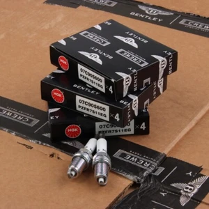 Bujías Bentley genuinas 12 piezas aptas para Continental W12 10-18 OEM 07C905600 - Imagen 1 de 4