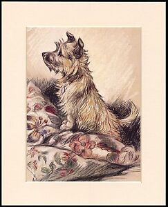 CAIRN TERRIER LITTLE DOG ON CUSHIONS CHARMING MOUNTED DOG PRINT READY TO FRAME