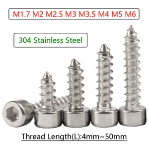 Tornillo autorroscante de cabeza de tapa de acero inoxidable Allen Socket Tappers pernos M1.7 - M6 - Imagen 1 de 76
