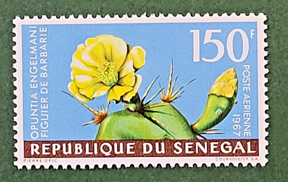 Senegal, C54 MNH Foto 1 de 1