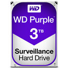 WD 3 TB Surveillance Hard Drive - Purple