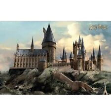 Harry Potter Hogwarts Day Maxi Poster 91.5 x 61cm new & sealed Giftware FP4759