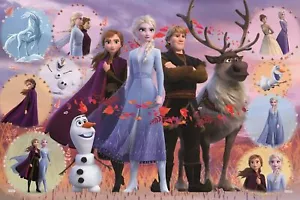Epoch Disney Frozen 2 Collection 1000 Piece Jigsaw Puzzle - Photo 1/5