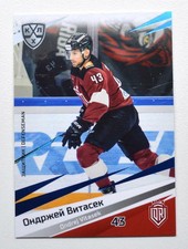 2020-21 Sereal KHL BLUE Dinamo Riga (1 of 11) Pick a Player Card