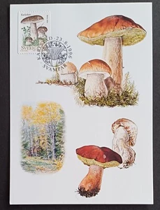 Schweden 1996 Maxi Maximumkarte Pilz Karl-Johan Boletus edilus. Eine Karte. - Bild 1 von 1
