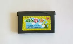 Juego Ocha Ken no Yume Bouken (Game Boy Advance, GBA) Japón *Probado* *Vendedor de EE. UU.* - Imagen 1 de 3