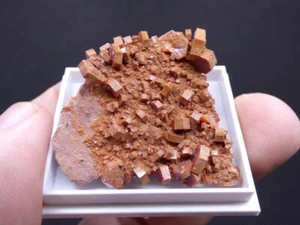 ✅ FDMINERALIEN ✅ Amazing 👉 VANADINITE 👈 ACF Mine - Mibladen - Marokko - 18 V - Bild 1 von 18