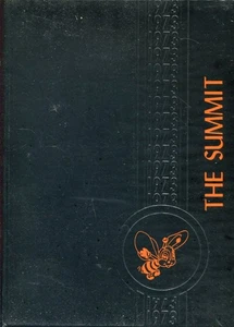 ANUARIO CHESTER HIGH SCHOOL, CHESTER, ILLINOIS - Summit - 1973 - Imagen 1 de 1