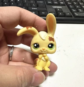 LPS Littlest Pet Shop Rabbit 972 Messiest Pets Toy Figure Loose - Picture 1 of 3