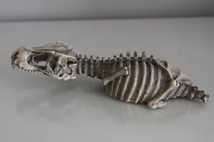 Großes detailliertes Dinosaurier Skelett 27 x 8 x 5 cm Aquarium Reptil Schädel Reptil - Bild 1 von 6