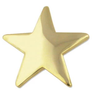PinMart's Classic Shiny Gold 5 Point Star Military Recognition Lapel Pin - Picture 1 of 4
