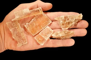 Golden Selenit 2 Zoll 5 Stück 4 Unzen Rohgestein Mineral Probe Chakra Heilung - Bild 1 von 1