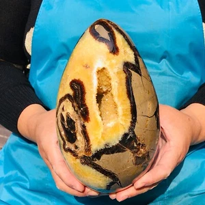 7.28LB Top Natural Dragon Septarian Crystal geode Quartz egg mineral Specimen - Picture 1 of 14