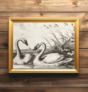 Vintage Swans Print, Vintage Valentines Print, Vintage Valentine's Day Decor - Picture 1 of 4