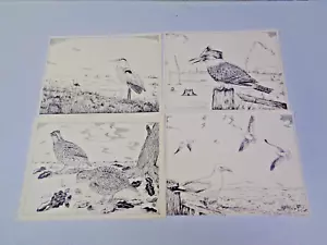 (4) Vintage 1977 Pencil Art Sketch of Jersey Shore Birds Signed J.V. - Picture 1 of 12