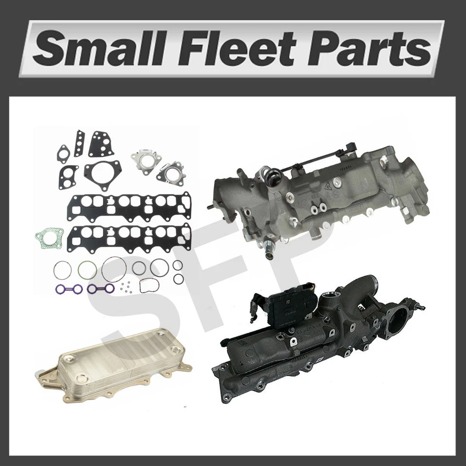 Sprinter Intake Manifolds Oil cooler Gaskets Left Right Fits Dodge Freightliner  - Image 1 of 1