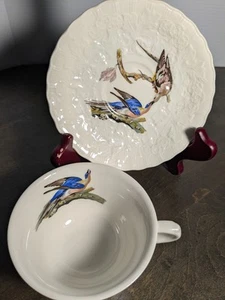 Taza y platillo Alfred Meakin Audubon's Birds of America "Pasajero Paloma" ver - Imagen 1 de 20