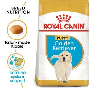 supplies for golden retriever puppy