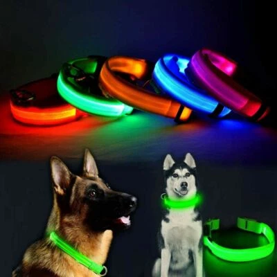 USB Rechargeable LED Pet Dog Collar Flashing Luminous Safety Light Up Nylon UK
