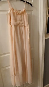 Happy Rose Girls Pastel Peach Pageant Dress. NWT Lined Tie Back.  Size 12 - Picture 1 of 17
