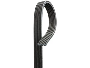 AC Delco Gold Multi Rib Belt fits Volvo S70 1999-2000 58VXHX - Picture 1 of 1