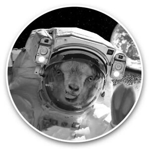 2 x Vinyl Stickers 30cm (bw) - Goat Astronaut in Space Earth  #42957