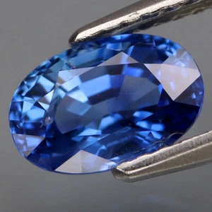 1.74Ct.Heated Only! Natural Cornflower Blue Sapphire Ceylon Very Good Luster! - Picture 1 of 6