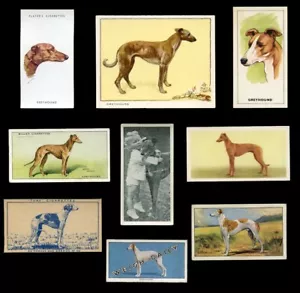 GREYHOUND DOG VINTAGE CIGARETTE & TRADE CARDS - Collection of 9 all original - Foto 1 di 2