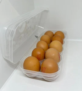 Plastic 10 pcs Egg Holder Foldable Lid  Storage Refrigerator Rack Container NEW - Picture 1 of 14