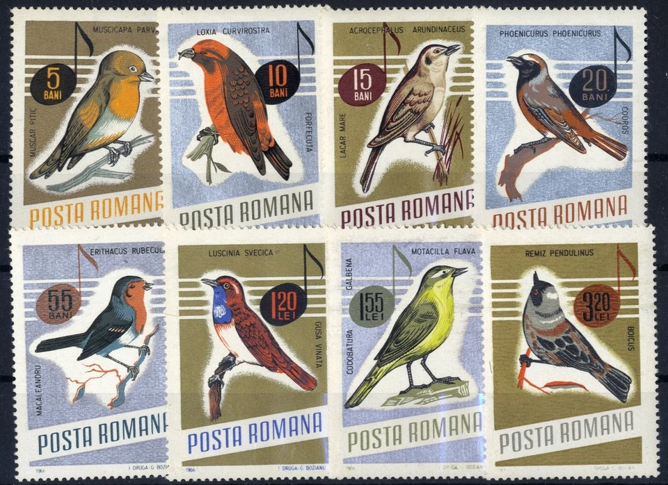 Rumania 1966 pájaros cantores, péndulo, cola amarilla, pájaros cantores, Énekesmadarak y Foto 1 de 1