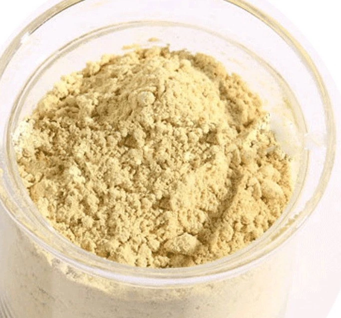 200 грамм органический порошок корня сибирского женьшеня - Eleutheroccus senticosus  - Изображение 1 из 1