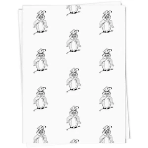 'Graduation Owl' Gift Wrap / Wrapping Paper / Gift Tags (GI017646) - Picture 1 of 16