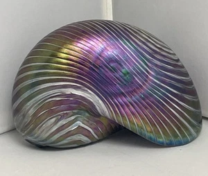 Glass Eye Studio Art Glass Blown Nautilus Shell Paperweight Iridescent EUC - Picture 1 of 14