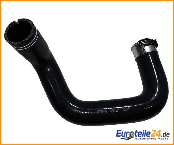 Manguera de aire de carga BUGIAD 81750 derecha Fiat 500L Tipo Combi Foto 1 de 1