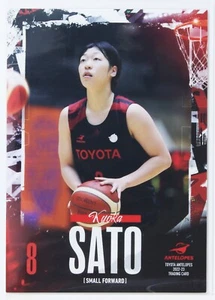 Kyoka Sato Nº17 - TOYOTA Antílopes 2022-23 TARJETA COMERCIAL - Imagen 1 de 3