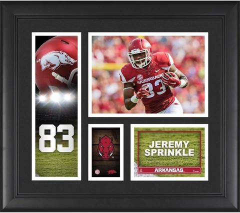 Jeremy Sprinkle Arkansas Razorbacks Framed 15" x 17" Player Collage - Fanatics Cover