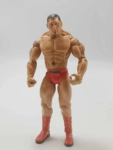 Figurine catcheur BATISTA JAKKS PACIFIC TOYS 2007 - Imagen 1 de 1