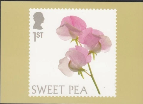 GREAT BRITAIN Flowers Sweet Pea Royal Mail PHQ Card Cover