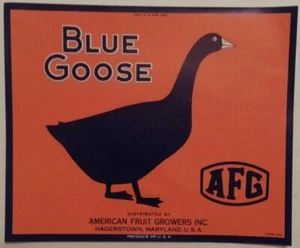 Blue Goose Vintage Obstkiste Etikett American Fruit Growers Hagerstown, Md. - Bild 1 von 1