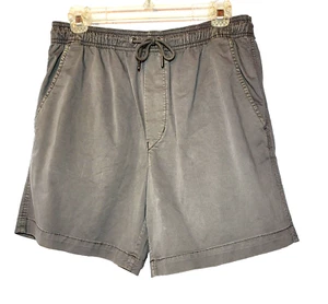 NWT American Eagle Flex Men's Dark Gray Elastic Waist Short  Pockets Size Small - Picture 1 of 11