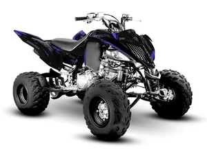 Yamaha Raptor 700 700R Grafik Kit 2013 2018 2022 bis 2025 Aufkleber Sticker ATV - Picture 1 of 6