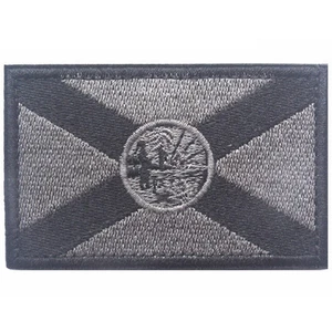 Florida FL BANDERA DEL ESTADO EE. UU. EJÉRCITO TÁCTICO MILITAR INSIGNIA GANCHO BUCLE PARCHE GRIS - Imagen 1 de 1