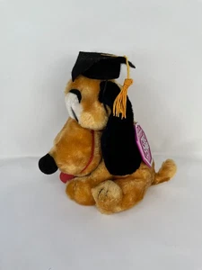 Disney World Park Exclusive Plüsch Pluto 83 Grad Nite 10 1983 Large Eyes Cap - Bild 1 von 3