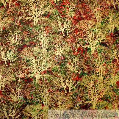 Edredón de algodón BonEful FABRIC FQ verde rojo dorado metálico hoja de árbol de Navidad color otoño Foto 1 de 4