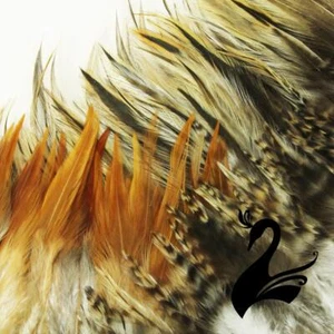 Feather Full Hackle on Fringe - Natural Tones - Craft Millinery Fly Fishing - Picture 1 of 11