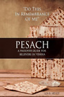 Lex B Meyer Pesach (Paperback)