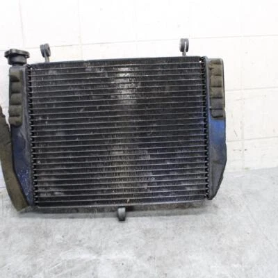 Yamaha YZF R6 2002 motor radiador enfriador radiador de refrigeración BB545 Foto 1 de 4