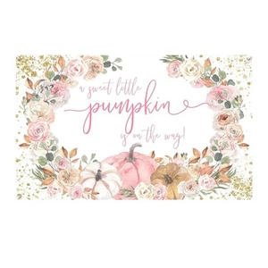 Pumpkin Baby Shower Backdrop in Pink/White - Picture 1 of 1