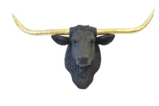 Faux Taxidermy Texas LongHorn Head Wall Mount