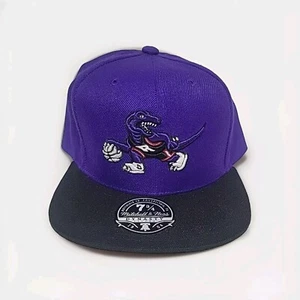 Nuovo Mitchell & Ness 1904 Dynasty Fitted NBA Toronto Raptors montato 7 3/4 - Foto 1 di 4